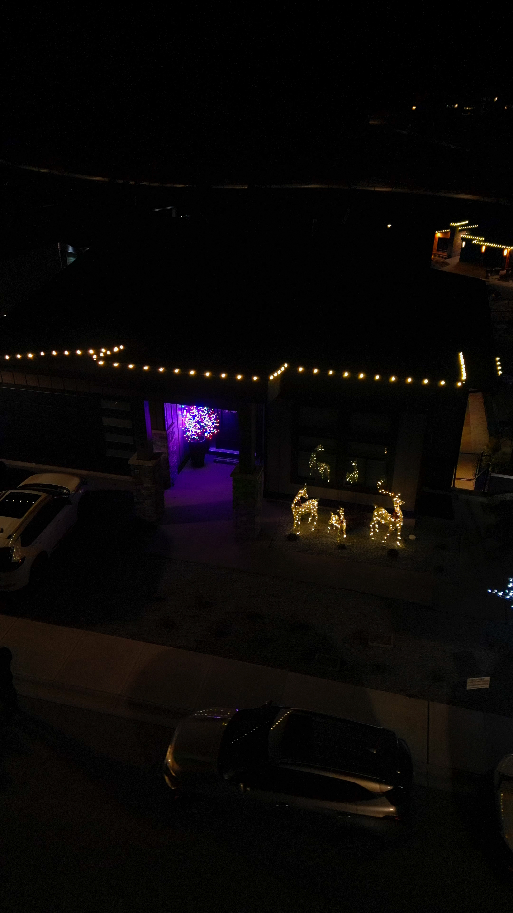 House decorated with Christmas lights at night